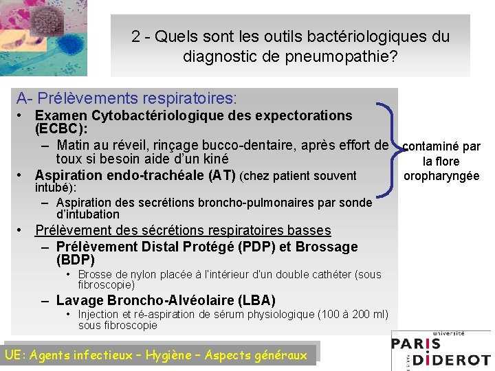 2 - Quels sont les outils bactériologiques du diagnostic de pneumopathie? A- Prélèvements respiratoires: