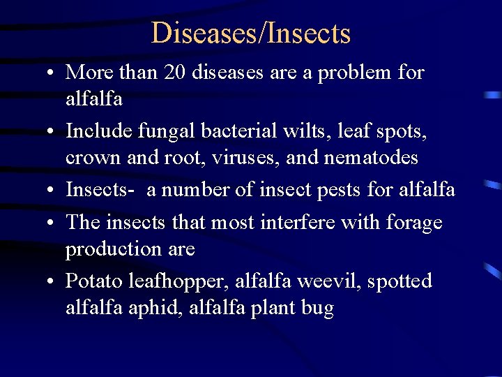 Diseases/Insects • More than 20 diseases are a problem for alfalfa • Include fungal