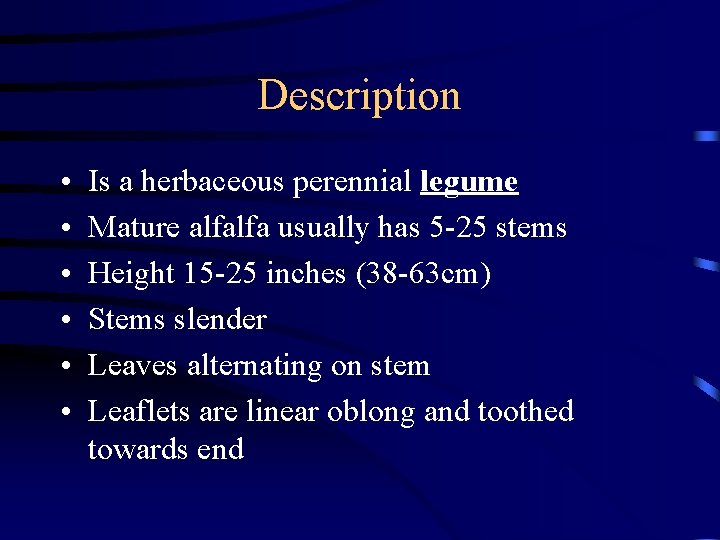 Description • • • Is a herbaceous perennial legume Mature alfalfa usually has 5