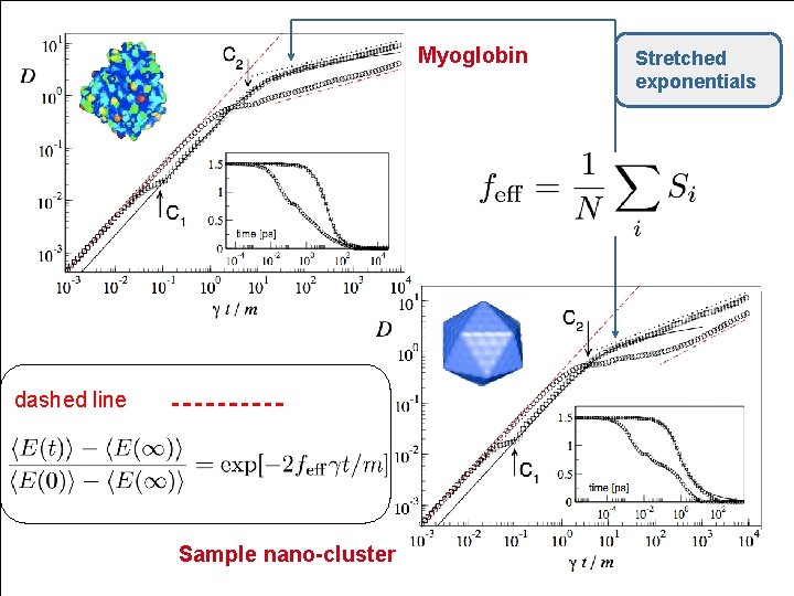 Myoglobin dashed line Sample nano-cluster Stretched exponentials Myoglobin dashed line Sample nano-cluster Stretched exponentials