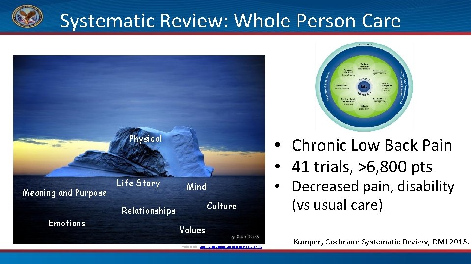 Systematic Review: Whole Person Care Physical Meaning and Purpose Life Story • Chronic Low