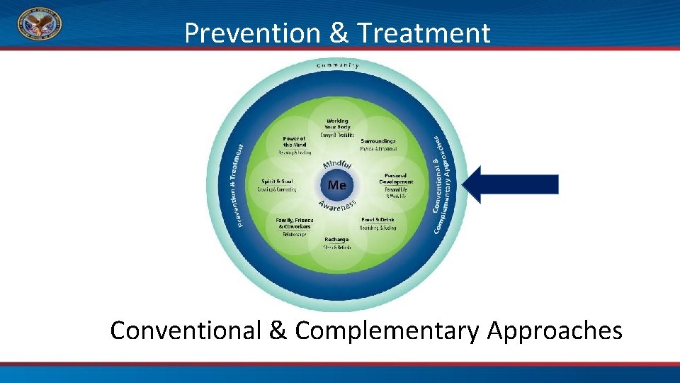 Prevention & Treatment Conventional & Complementary Approaches 