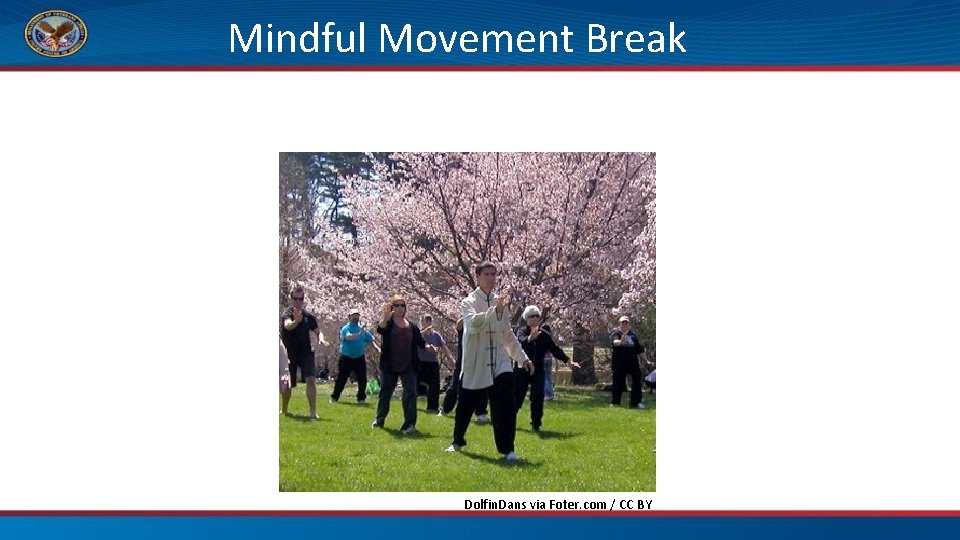 Mindful Movement Break Tai Chi and Qigong Dolfin. Dans via Foter. com / CC