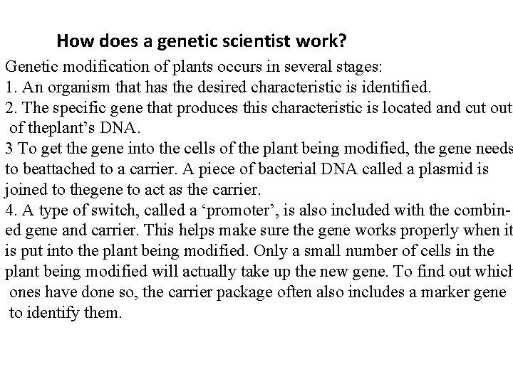 How does a genetic scientist work? Genetic modification of plants occurs in several stages: