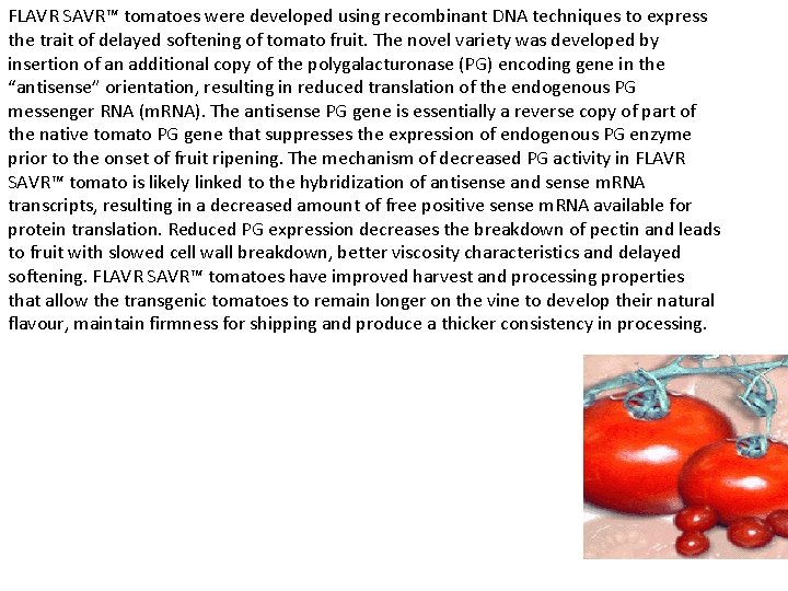 FLAVR SAVR™ tomatoes were developed using recombinant DNA techniques to express the trait of