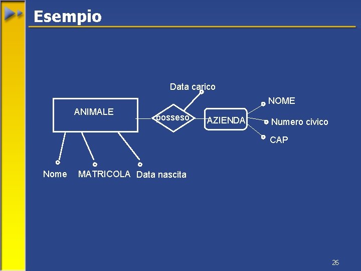 Esempio Data carico NOME ANIMALE posseso AZIENDA Numero civico CAP Nome MATRICOLA Data nascita