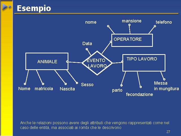 Esempio nome Data Nascita telefono OPERATORE TIPO LAVORO EVENTO LAVORO ANIMALE Nome matricola mansione