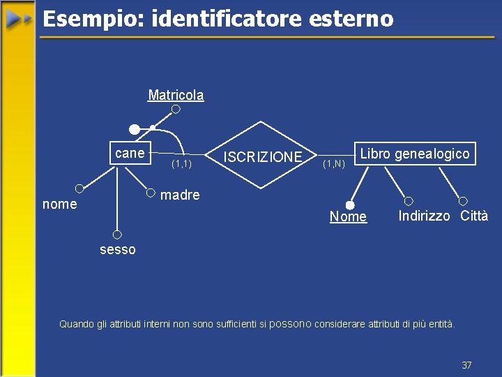 Esempio: identificatore esterno Matricola cane (1, 1) ISCRIZIONE (1, N) Libro genealogico madre nome