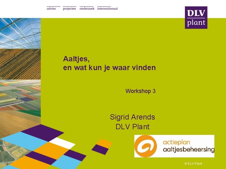 Aaltjes, en wat kun je waar vinden Workshop 3 Sigrid Arends DLV Plant ©