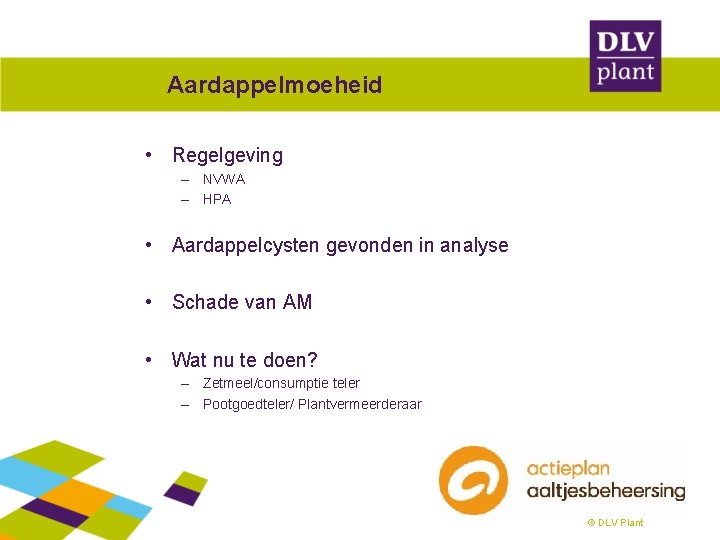 Aardappelmoeheid • Regelgeving – NVWA – HPA • Aardappelcysten gevonden in analyse • Schade