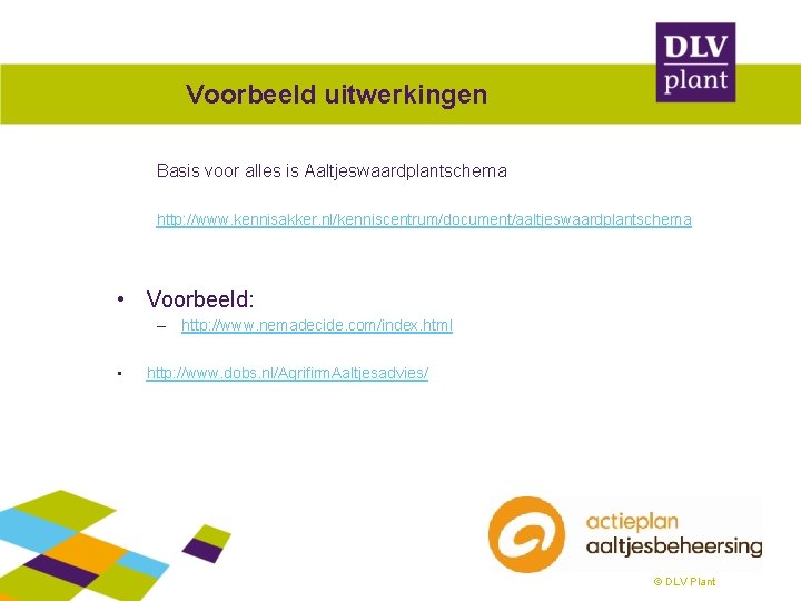 Voorbeeld uitwerkingen Basis voor alles is Aaltjeswaardplantschema http: //www. kennisakker. nl/kenniscentrum/document/aaltjeswaardplantschema • Voorbeeld: –