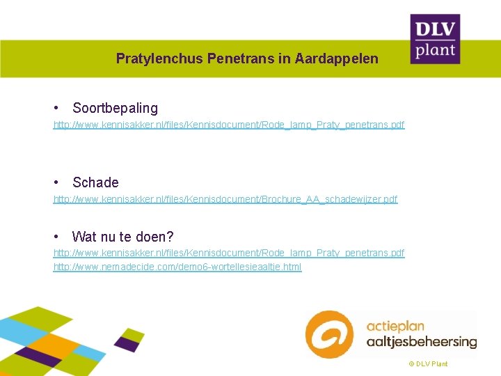 Pratylenchus Penetrans in Aardappelen • Soortbepaling http: //www. kennisakker. nl/files/Kennisdocument/Rode_lamp_Praty_penetrans. pdf • Schade http: