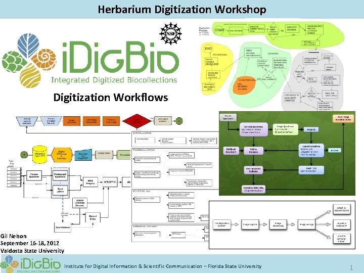 Herbarium Digitization Workshop Digitization Workflows Gil Nelson September 16 -18, 2012 Valdosta State University