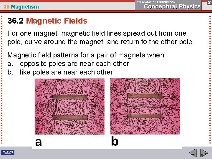 36 Magnetism 36. 2 Magnetic Fields For one magnet, magnetic field lines spread out