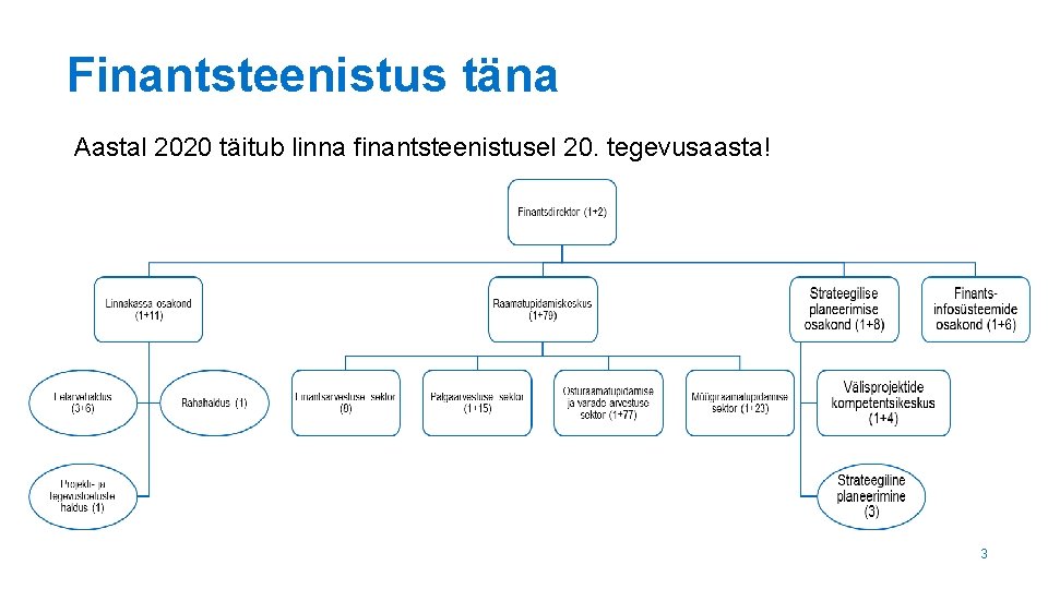 Finantsteenistus täna Aastal 2020 täitub linna finantsteenistusel 20. tegevusaasta! 3 