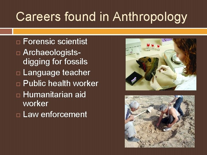 Careers found in Anthropology Forensic scientist Archaeologistsdigging for fossils Language teacher Public health worker