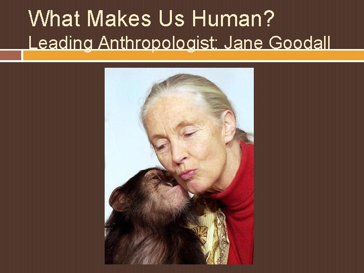 What Makes Us Human? Leading Anthropologist: Jane Goodall 