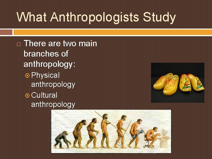 What Anthropologists Study There are two main branches of anthropology: Physical anthropology Cultural anthropology