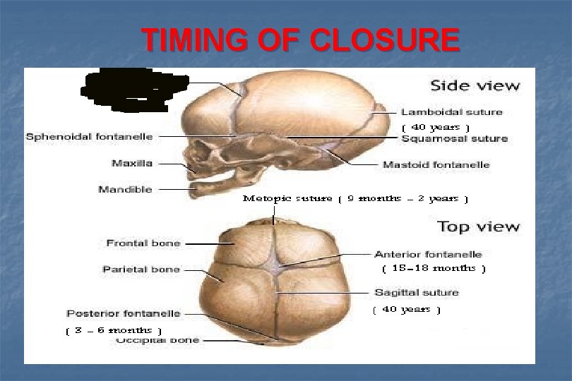 TIMING OF CLOSURE 