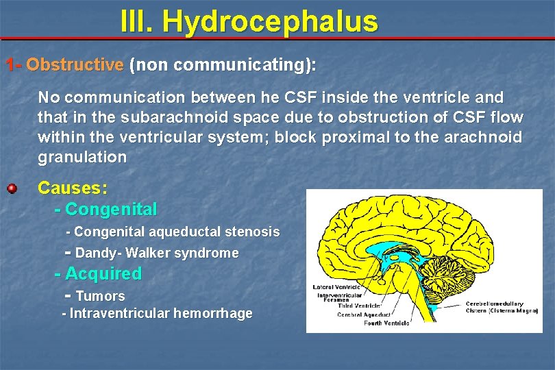 III. Hydrocephalus 1 - Obstructive (non communicating): No communication between he CSF inside the