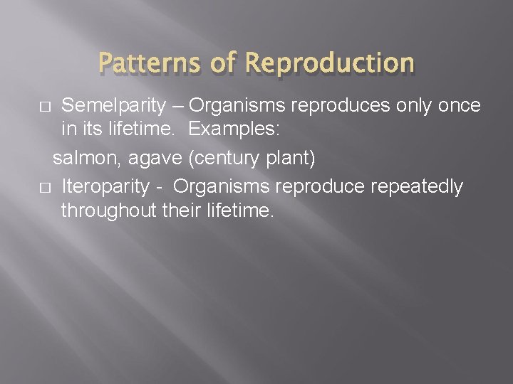 Patterns of Reproduction Semelparity – Organisms reproduces only once in its lifetime. Examples: salmon,