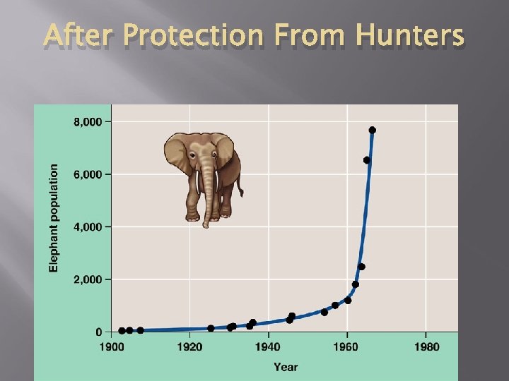 After Protection From Hunters 