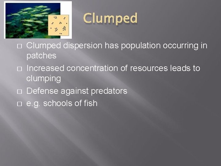 Clumped � � Clumped dispersion has population occurring in patches Increased concentration of resources