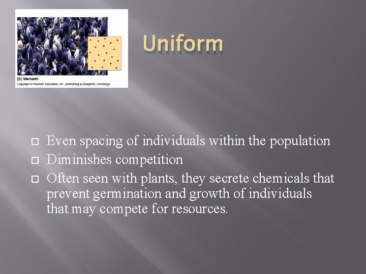 Uniform Even spacing of individuals within the population Diminishes competition Often seen with plants,