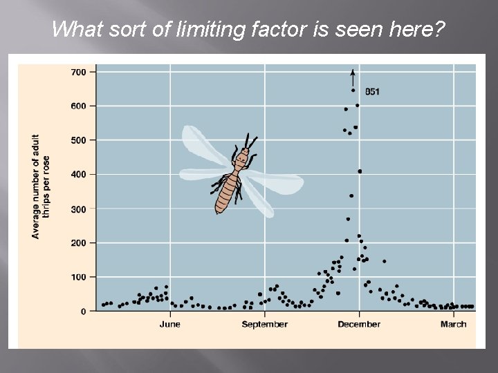 What sort of limiting factor is seen here? 