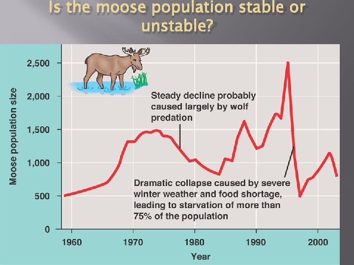 Is the moose population stable or unstable? 