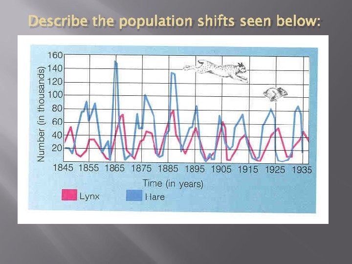 Describe the population shifts seen below: 