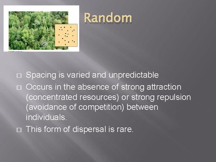 Random � � � Spacing is varied and unpredictable Occurs in the absence of