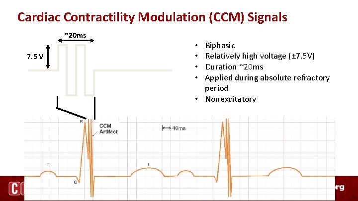 Cardiac Contractility Modulation (CCM) Signals ~20 ms 7. 5 V Biphasic Relatively high voltage