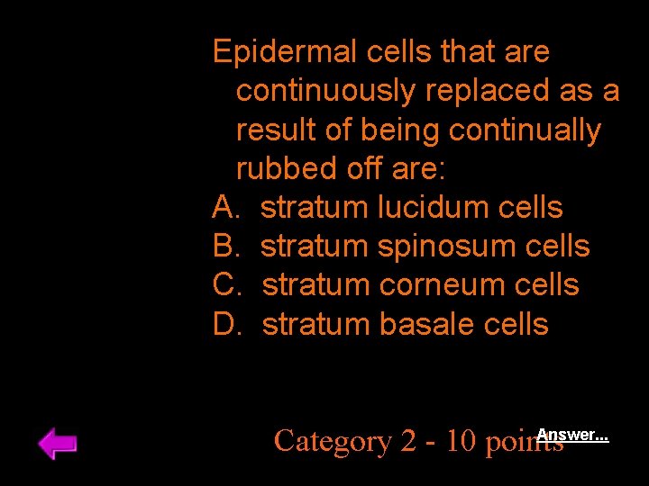 Epidermal cells that are continuously replaced as a result of being continually rubbed off