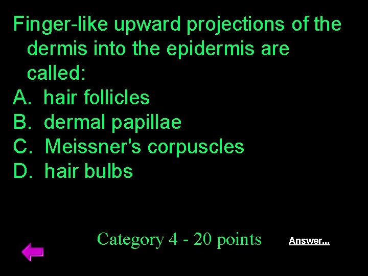 Finger-like upward projections of the dermis into the epidermis are called: A. hair follicles