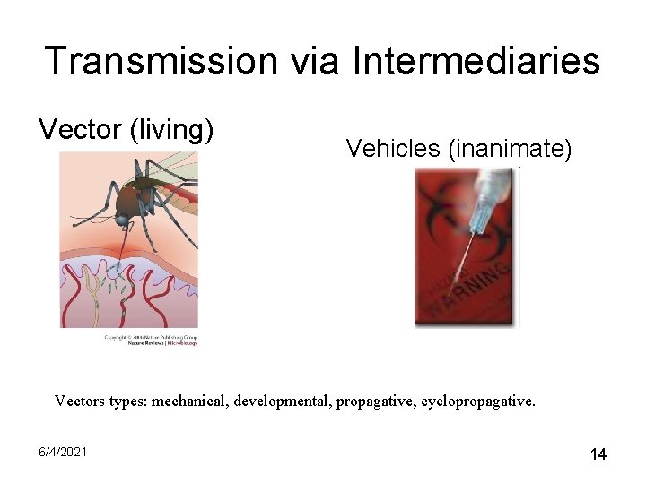 Transmission via Intermediaries Vector (living) Vehicles (inanimate) Vectors types: mechanical, developmental, propagative, cyclopropagative. 6/4/2021