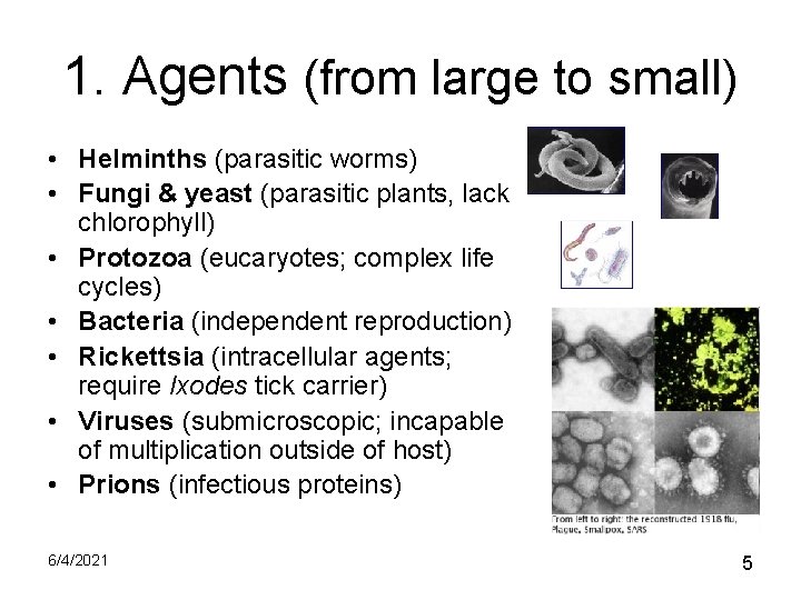 1. Agents (from large to small) • Helminths (parasitic worms) • Fungi & yeast