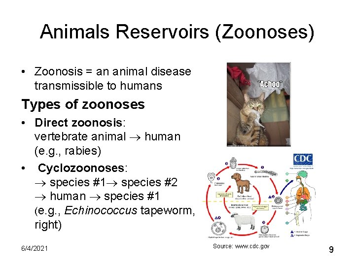 Animals Reservoirs (Zoonoses) • Zoonosis = an animal disease transmissible to humans Types of