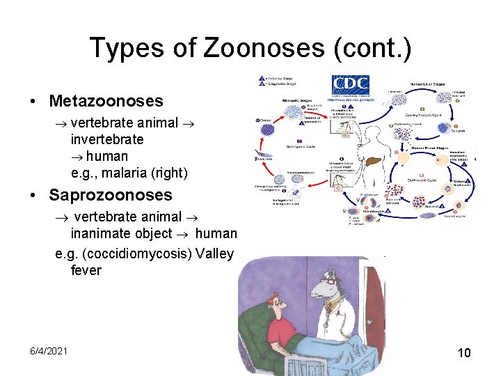 Types of Zoonoses (cont. ) • Metazoonoses vertebrate animal invertebrate human e. g. ,