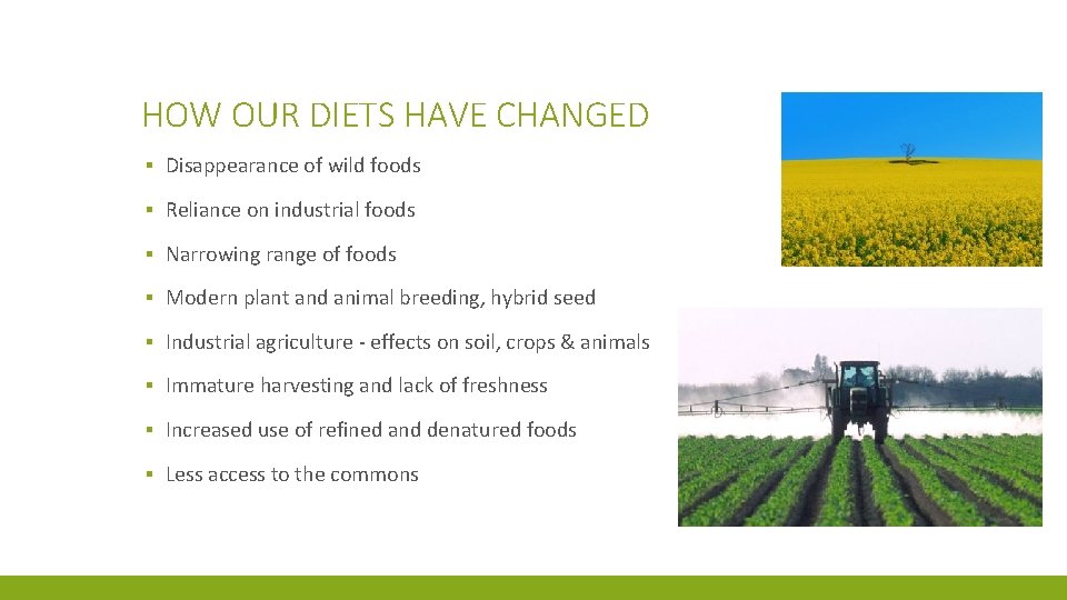 HOW OUR DIETS HAVE CHANGED ▪ Disappearance of wild foods ▪ Reliance on industrial