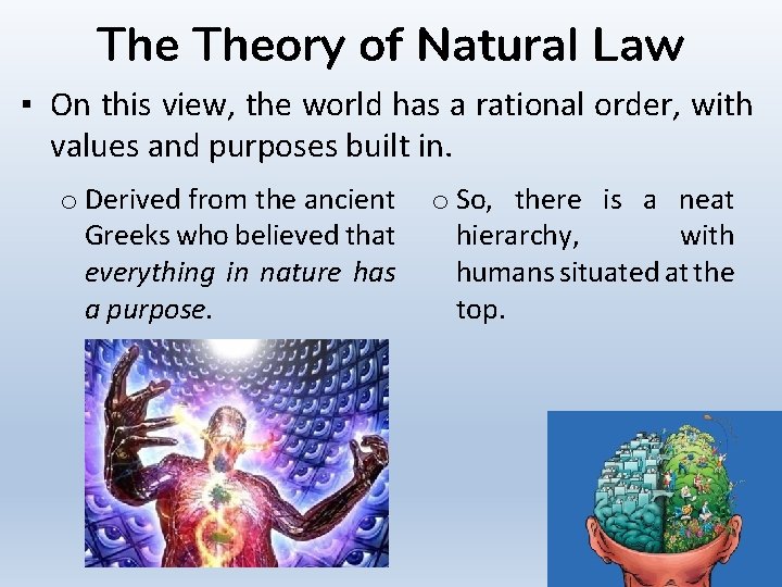 The Theory of Natural Law ▪ On this view, the world has a rational