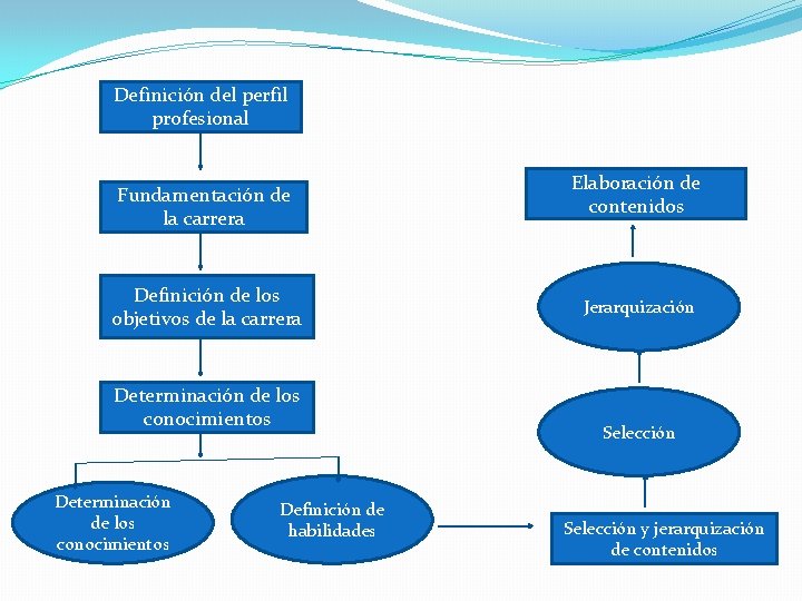 Definición del perfil profesional Fundamentación de la carrera Definición de los objetivos de la