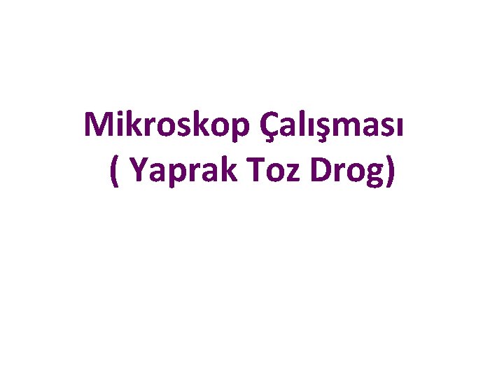 Mikroskop Çalışması ( Yaprak Toz Drog) 