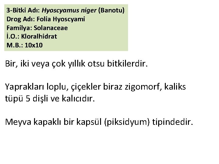 3 -Bitki Adı: Hyoscyamus niger (Banotu) Drog Adı: Folia Hyoscyami Familya: Solanaceae İ. O.