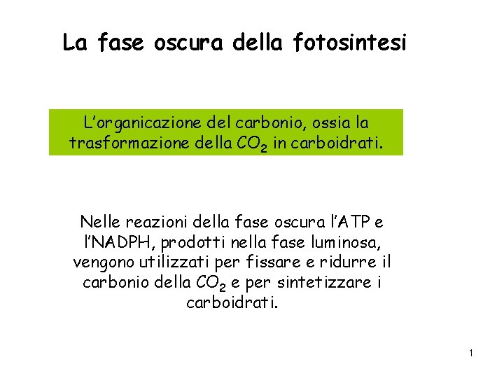 La fase oscura della fotosintesi L’organicazione del carbonio, ossia la trasformazione della CO 2