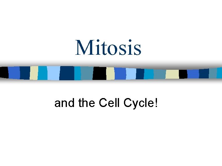Mitosis and the Cell Cycle! 