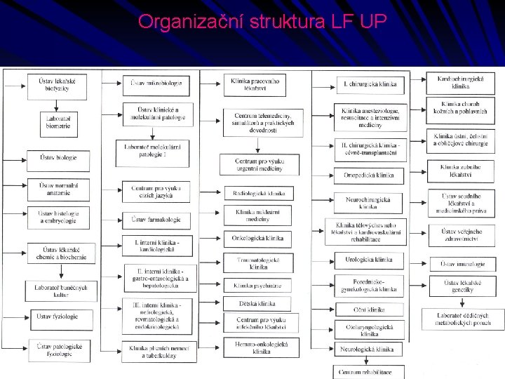 Organizační struktura LF UP 