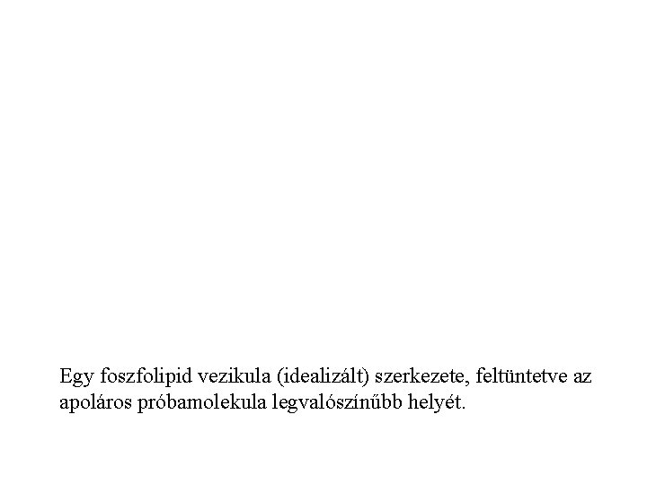 Egy foszfolipid vezikula (idealizált) szerkezete, feltüntetve az apoláros próbamolekula legvalószínűbb helyét. 