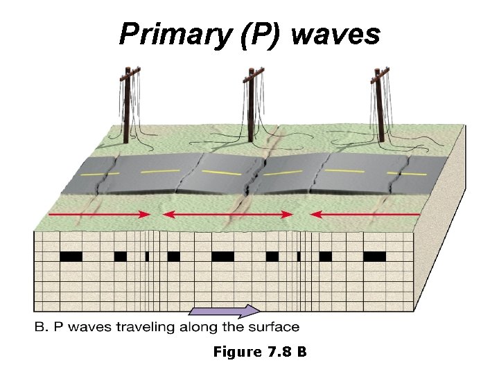 Primary (P) waves Figure 7. 8 B 