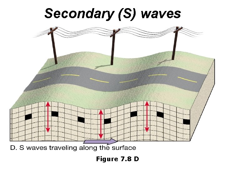 Secondary (S) waves Figure 7. 8 D 